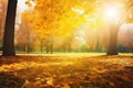 Golden color autumn forest landscape with red, orange foliage in the fall park Royalty Free Stock Photo
