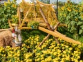 Golden color cart surround by marigold, sunflower, flower, straw as natural background. Royalty Free Stock Photo