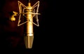 Golden color microphone detail in music and sound recording studio, black background, closeup Royalty Free Stock Photo