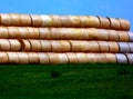 Golden color straw rolls piled and stored as paper making ingredient Royalty Free Stock Photo