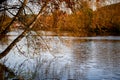 Golden color tree on river bank, Kolodeje nad Luznici Royalty Free Stock Photo