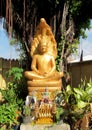 Golden-colored buddha statue outside the temple Royalty Free Stock Photo