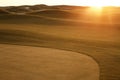 Golden golf field at sunset