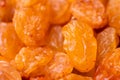 Golden-colored raisins lie in a pile, close-up of raisin texture, macro shot Royalty Free Stock Photo