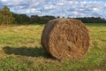 A golden colored round hay bale lying on a harvested stubble field. Rolled Straw stack on agrofarm field Royalty Free Stock Photo