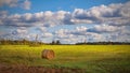 A golden colored round hay bale lying on harvested stubble field on scenic cloudy autumnal sky background. Royalty Free Stock Photo