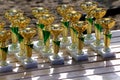 Golden colored trophies waiting for winners at an equestrian event summertime Royalty Free Stock Photo