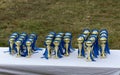 Golden colored trophies waiting for winners at an equestrian event summertime Royalty Free Stock Photo