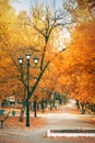 Golden colorful autumn in the city park yellow orange trees on the alley for walking with lampposts and benches in the afternoon i Royalty Free Stock Photo