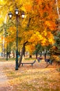 Golden colorful autumn in the city park yellow orange trees on the alley for walking with lampposts and benches in the afternoon i Royalty Free Stock Photo