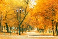 Golden colorful autumn in the city park yellow orange trees on the alley for walking with lampposts and benches in the afternoon i Royalty Free Stock Photo