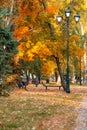 Golden colorful autumn in the city park yellow orange trees on the alley for walking with lampposts and benches in the afternoon i Royalty Free Stock Photo