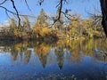 Golden colorful yellow oaange red river autumn fall tree leaves landscape sunny day Quebec Canada Royalty Free Stock Photo