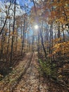 Golden colorful yellow orange red autumn fall tree leaves landscape Quebec Canada Royalty Free Stock Photo