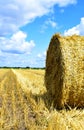 Golden colors of straw after wheat threshing Royalty Free Stock Photo