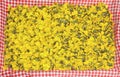 Golden coltsfoot blossoms, natural homespun remedy on red checke