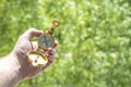 A golden compass in the hand of the traveler against the background of greenery.