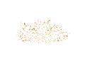 Confetti isolated on white background. Golden ribbons. Festive vector illustration Royalty Free Stock Photo
