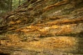 Golden, conglomerate rock of Ritchie Ledges in northern Ohio