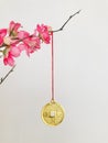 Golden copper coin hanging on peach blossom branch, close up.