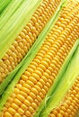 Golden corn