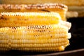 Golden corn cobs baked or grilled on charcoal, outdoors