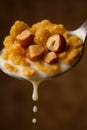 Golden Corn Flakes Cereal with Hazelnuts and Milk Drizzling from a Spoon AI-GENERATED Royalty Free Stock Photo