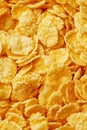 Golden cornflakes background and texture. View from above. cornflakes healthy breakfast. Close-up. macro Royalty Free Stock Photo