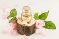 Golden cosmetic jars on a wooden podium with pink roses Royalty Free Stock Photo