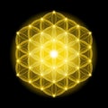 Golden Cosmic Flower of Life With Stars on Black Background Royalty Free Stock Photo