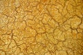 Golden Crackle Texture Royalty Free Stock Photo