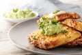 golden crisp rosti from cauliflowerand parmesan cheese with avocado dips and parsley garnish on a gray plate, close-up