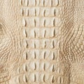 Golden crocodile skin texture closeup fashion