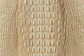 Golden crocodile skin texture closeup fashion