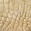 Golden crocodile skin texture closeup fashion