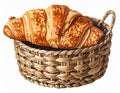Golden Croissant in Woven Basket Isolated on White Background Studio Lighting Royalty Free Stock Photo