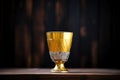 golden cup caught in a spotlight, dark background Royalty Free Stock Photo