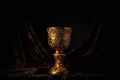 golden cup in a spotlight against dark backdrop