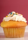 Golden cupcake with buttercream and sprinkles