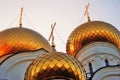 Golden cupolas of Assumption Church in Yaroslavl, Russia. Royalty Free Stock Photo