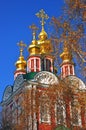 Golden cupolas of a church in Novodevichy convent in Moscow Royalty Free Stock Photo