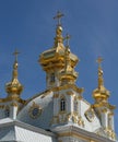 Golden cupolas, Peterhof