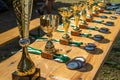 Golden cups and medals laying at wooden table at Tartu Summer School competition.