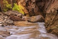 Golden Currents in the Virgin Narrows Royalty Free Stock Photo