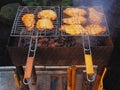 Golden cuts of meat are fried in two grates on the grill over coals Royalty Free Stock Photo