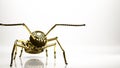 golden 3d rendering of an ant inside a studio