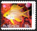 Golden Damsel Australian Postage Stamp Royalty Free Stock Photo