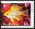 Golden Damsel Australian Postage Stamp Royalty Free Stock Photo