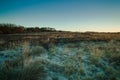 Golden dawn light breaks across the top of the grass on a frozen Wetley Moor.