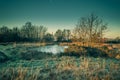 Golden dawn light breaks on a frozen pond on Wetley Moor, Staffordshire.